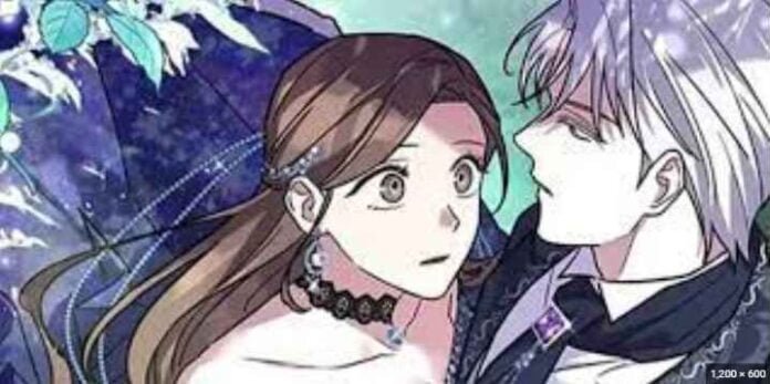 Cat in the Chrysalis Spoiler: Cosmic Odyssey through the Universe